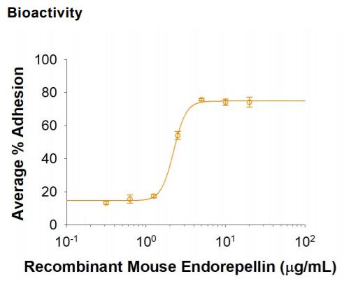 Immobilized Recombinant Mouse Endorepellin supports the adhesion of SVEC410 mouse vascular endothelial cells. The ED50 for this effect is 0.754.5 μg/mL.